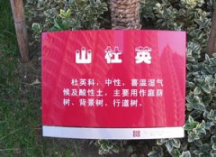 鿴ྫʰ