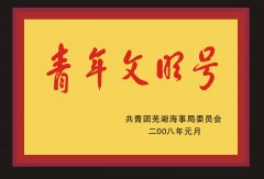 鿴ྫʰ