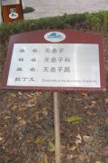 鿴ྫʰ