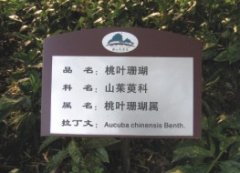 鿴ྫʰ