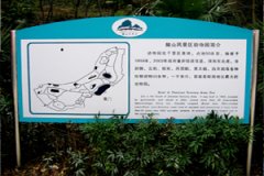 鿴ྫʰ