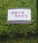 鿴ྫʰ